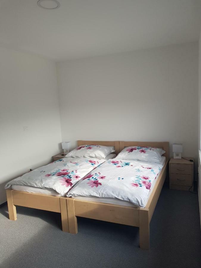 Apartmaji Jankovic ロガテツ エクステリア 写真
